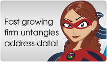 Untangling address data